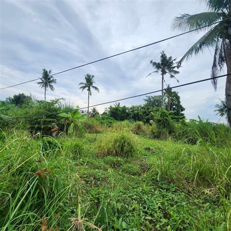 Lot For Sale in Babag , Lapu.